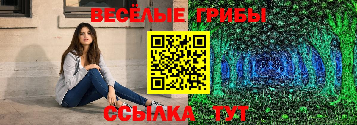 Галлюциногенные грибы Cubensis  Вход с VPN  Сланцы 